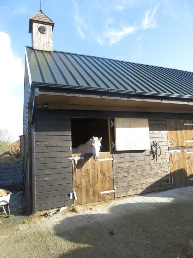 Bunkhouse - Letterfrack Farm Villa Luaran gambar